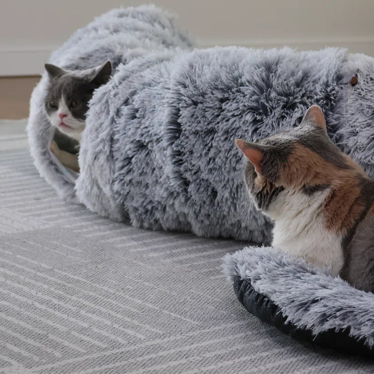 Cat Tunnel with Cat Bed for Indoor Cats, Multifunctional Cat Playground Toys Hideplace for Small Medium Large Cats