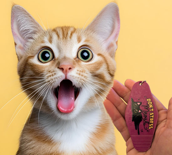 Keychain: Hotel/motel cat