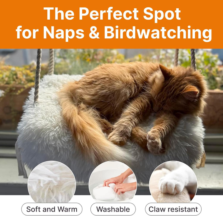 Cat Window Perch - Hammock Bed for Cats inside - Solid Wood Seat, 4 Strong Suction Cups, Soft Cushion - Rustic Indoor Pet Shelf