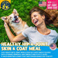 Sirloin Steak Nutritional Gravy Topper for Dogs | Complete Daily Wellness Formula