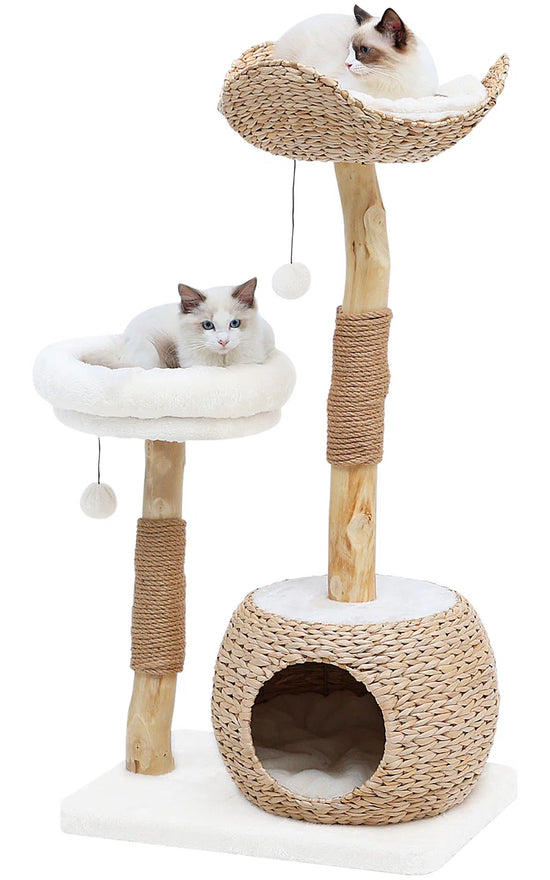 Kelston 40.5" Cat Tree for Indoor Small Cats, Woven Cattail Fabric