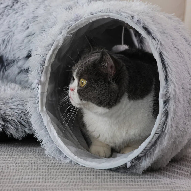 Cat Tunnel with Cat Bed for Indoor Cats, Multifunctional Cat Playground Toys Hideplace for Small Medium Large Cats