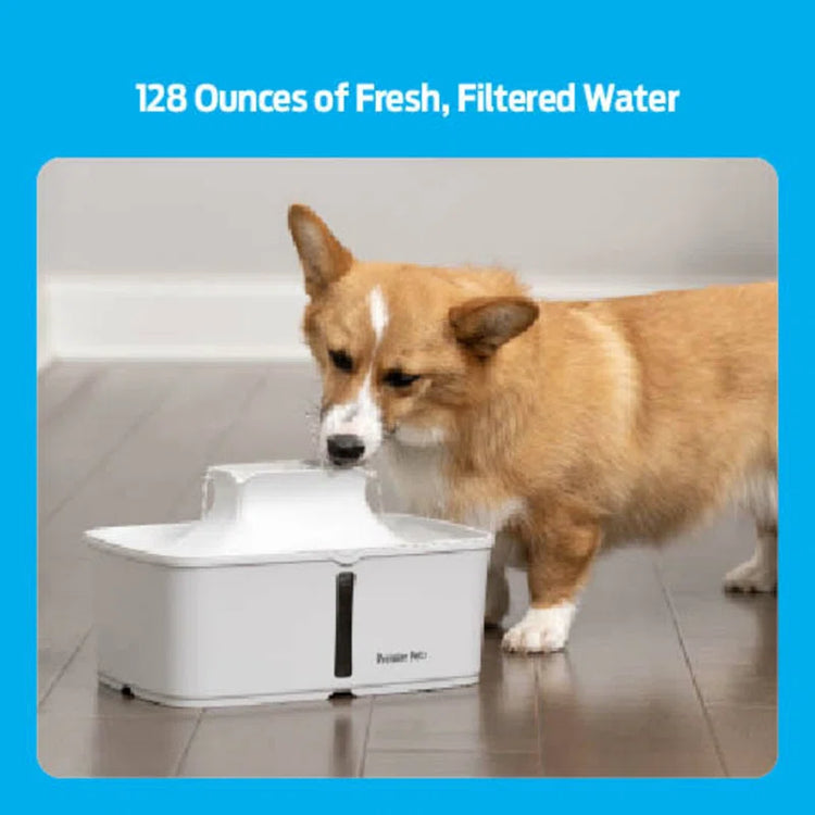 128 Oz. Pet Fountain