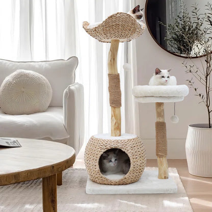 Kelston 40.5" Cat Tree for Indoor Small Cats, Woven Cattail Fabric