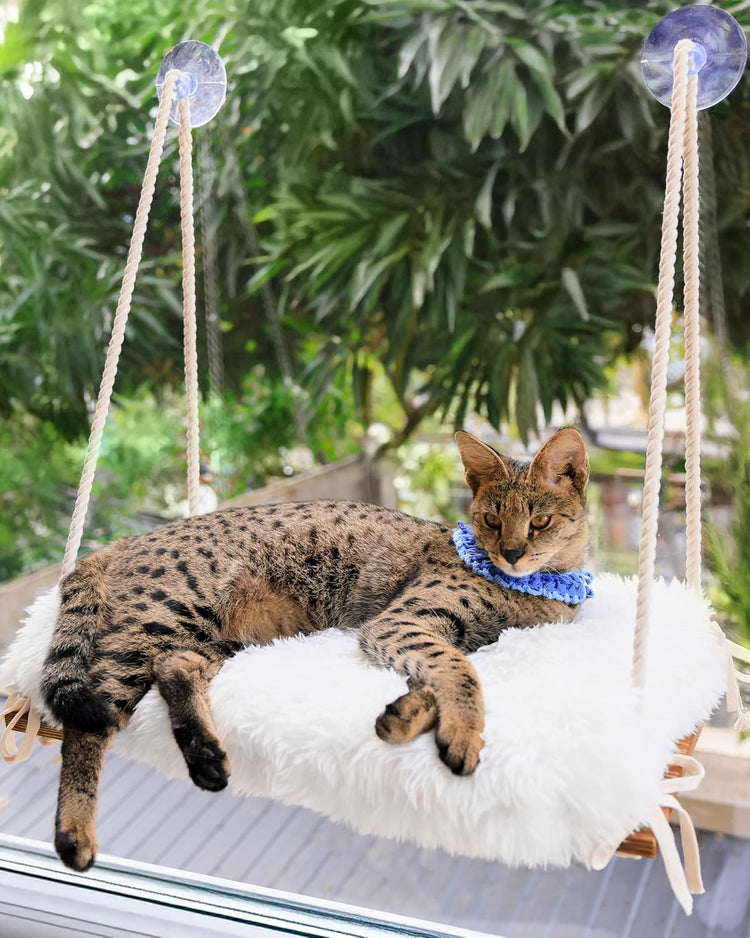 Cat Window Perch - Hammock Bed for Cats inside - Solid Wood Seat, 4 Strong Suction Cups, Soft Cushion - Rustic Indoor Pet Shelf