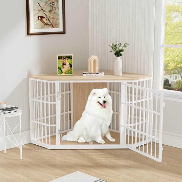 White dog inside a pet crate in a room with a wooden floor and a window.