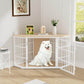 White dog inside a pet crate in a room with a wooden floor and a window.