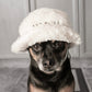 Furi Pet Hat - Bone