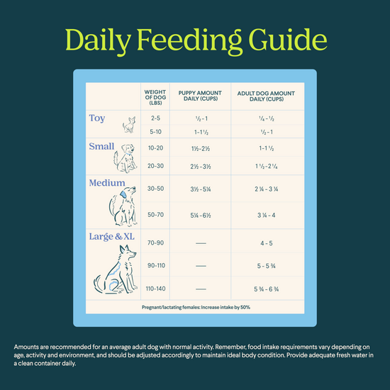 Silver Carp Dog Food