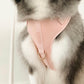 Elise Harness - Rose - The Max & Rex Collection