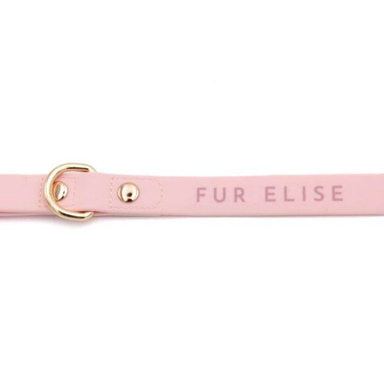 Elise Leash - Rose - The Max & Rex Collection