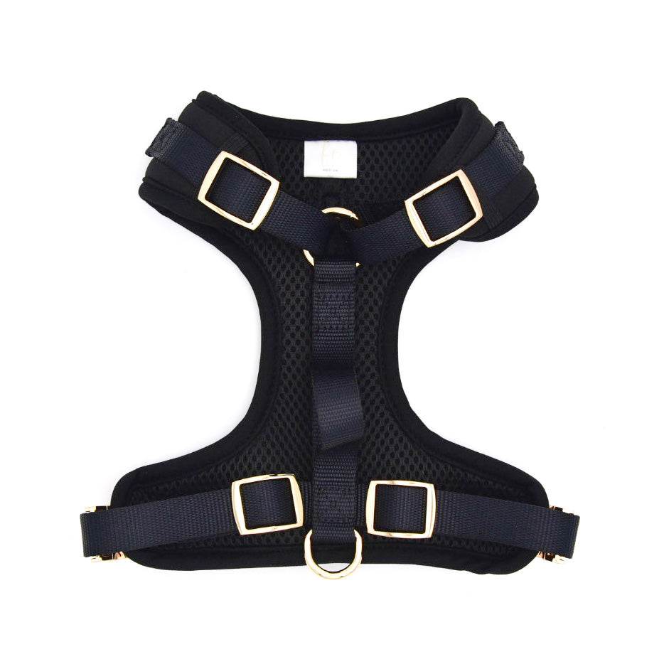 Elise Harness - Noir - The Max & Rex Collection