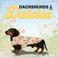 Dachshunds & Daisies Dog Coat – Limited Edition All-Weather Jacket for Long-Bodied Breeds