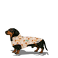 Dachshunds & Daisies Dog Coat – Limited Edition All-Weather Jacket for Long-Bodied Breeds