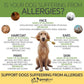Allergy & Immune Support Chews for Dogs (Coconut & Carob Flavor)