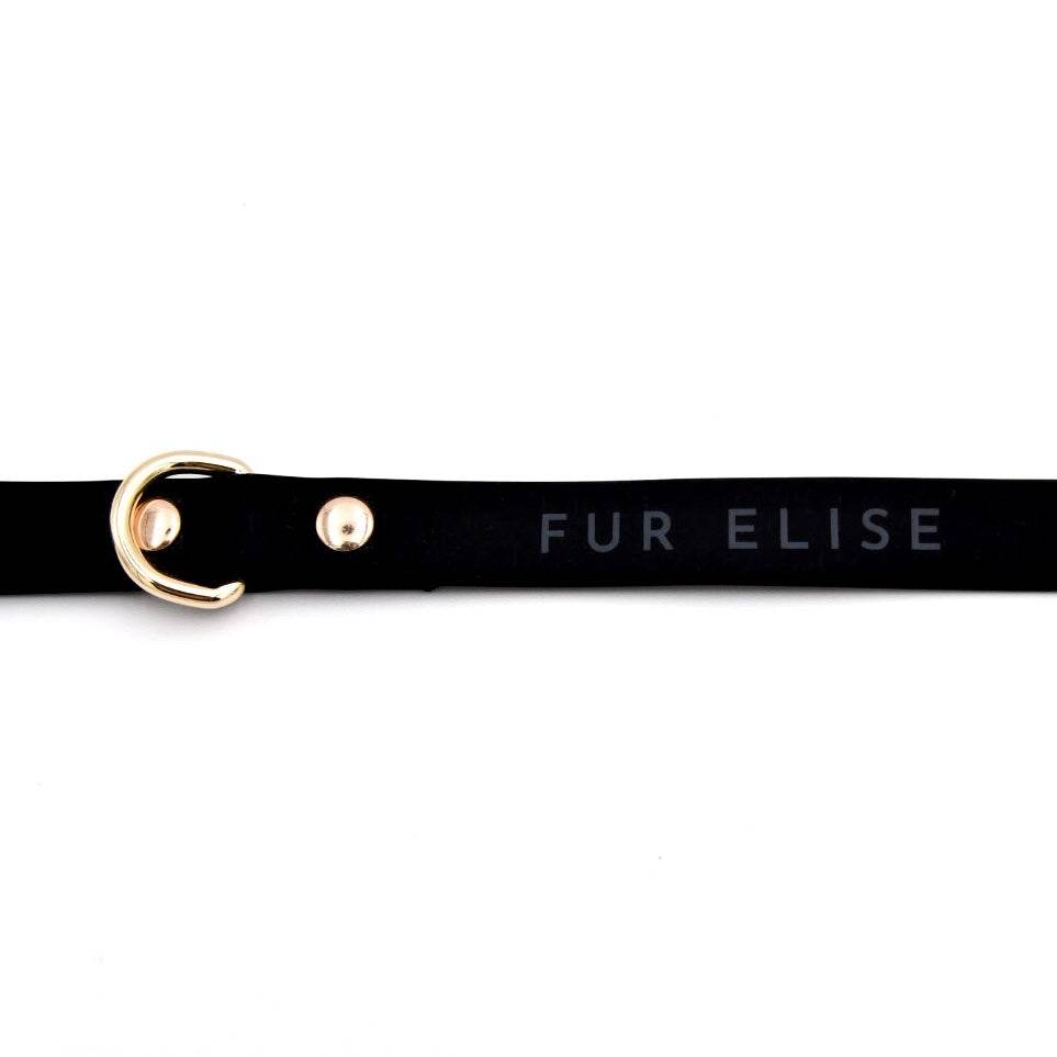 Elise Leash - Noir - The Max & Rex Collection