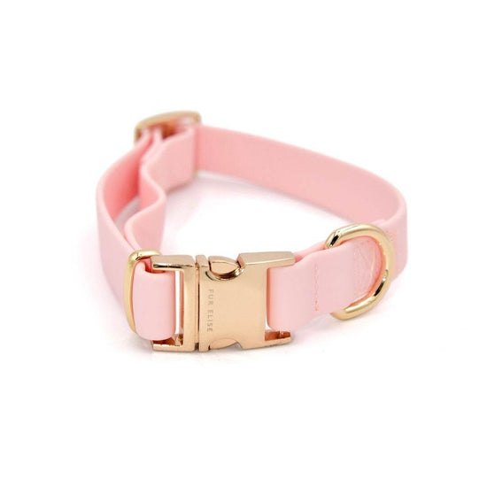 Elise Collar - Rose - The Max & Rex Collection