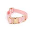 Elise Collar - Rose - The Max & Rex Collection
