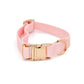 Elise Collar - Rose - The Max & Rex Collection