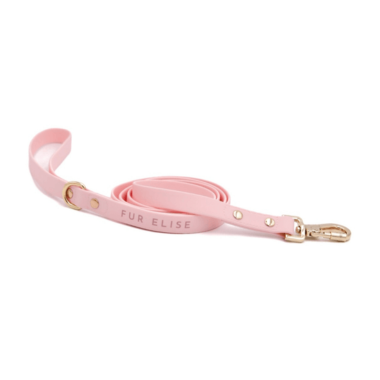 Elise Leash - Rose - The Max & Rex Collection