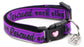 We Rescued Each Other Cat Collar – Adjustable Breakaway Safety Collar - The Max & Rex Collection