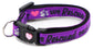 We Rescued Each Other Cat Collar – Adjustable Breakaway Safety Collar - The Max & Rex Collection