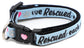 We Rescued Each Other Cat Collar – Adjustable Breakaway Safety Collar - The Max & Rex Collection