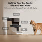 RFID Automatic Smart Feeder for Pets – App-Controlled Individual Feeding