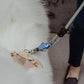 Patented Magnetic Dog Leash - One-Hand Connect & Release