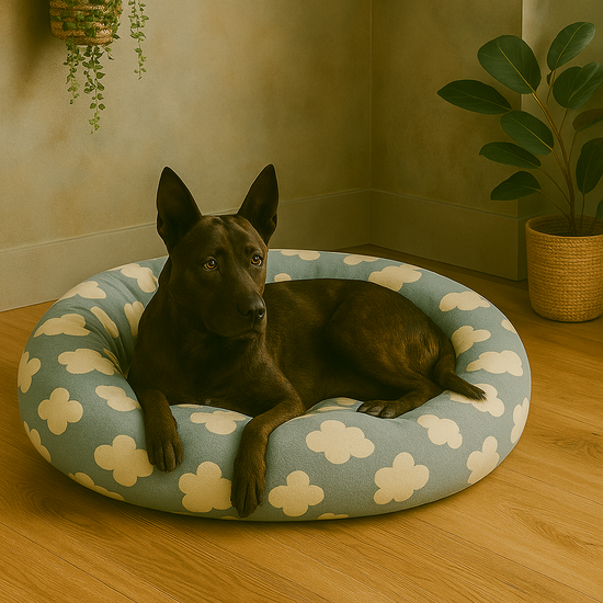 Dark brindle dog named Rex resting on a plush blue donut pet bed with white cloud patterns in a light blue room – product photo for The Max & Rex Collection.