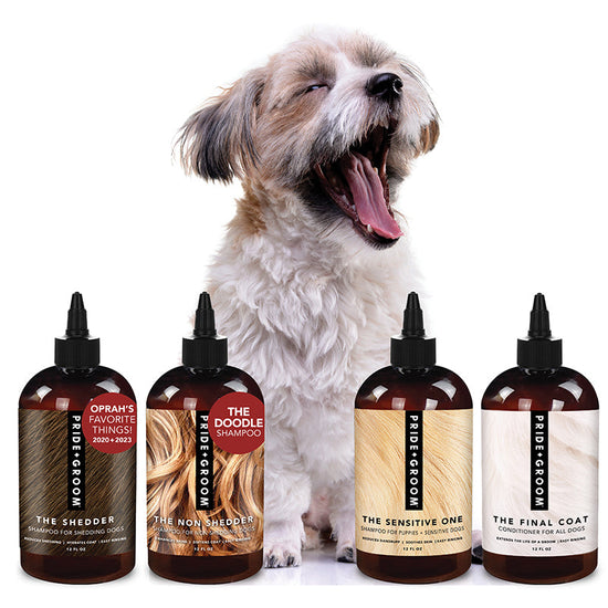 THE WASH SAMPLE PACK — Try PRIDE+GROOM&