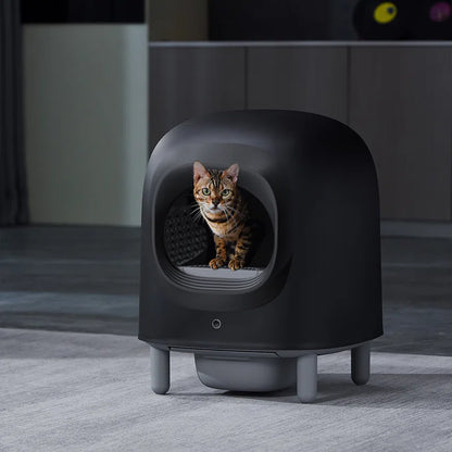Smart Self-Cleaning Cat Litter Box with App Control & Safety Sensors — Ideal for Multi-Cat Homes