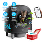 Smart Self-Cleaning Cat Litter Box with App Control & Safety Sensors — Ideal for Multi-Cat Homes