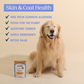 Skin & Coat Health