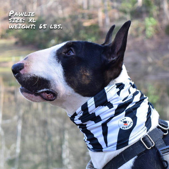 Zebra Pup Scruff – Slip-On Dog Neckwear with Bold Black & White Print - The Max & Rex Collection