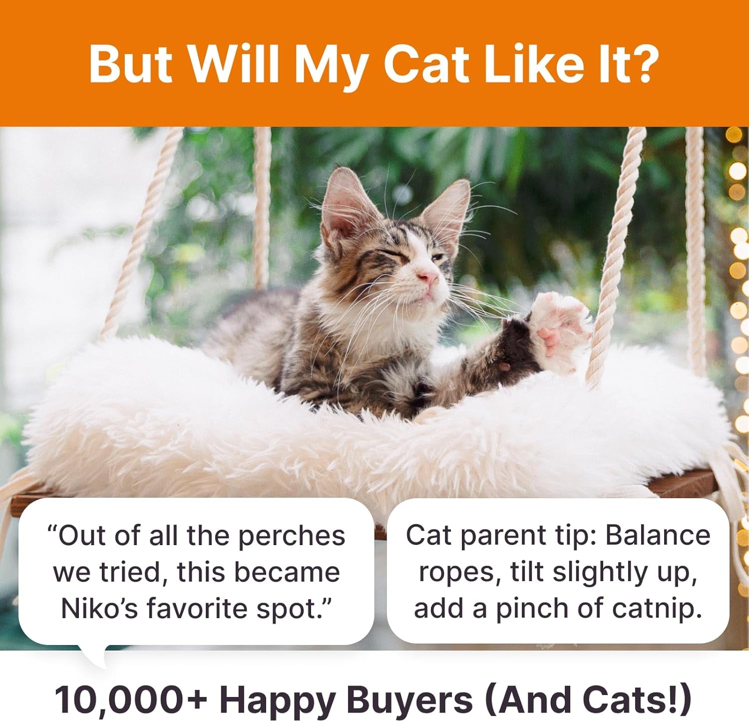 Cat Window Perch - Hammock Bed for Cats inside - Solid Wood Seat, 4 Strong Suction Cups, Soft Cushion - Rustic Indoor Pet Shelf