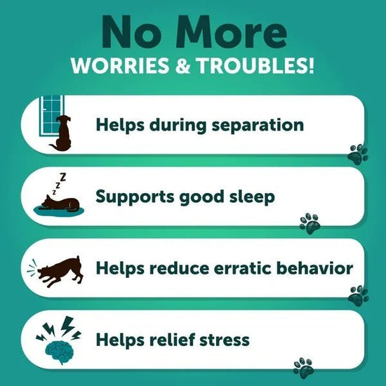 Anxiety Relief Treats for Dogs — Natural Calming Supplement with Hemp, Valerian & Chamomile