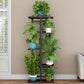 Plant Stand 5 Tier 6 Potted Indoor Plant Shelf Multiple Stands for Garden Corner Balcony Living Room 14.17 X 9 X 37 Inch - The Max & Rex Collection