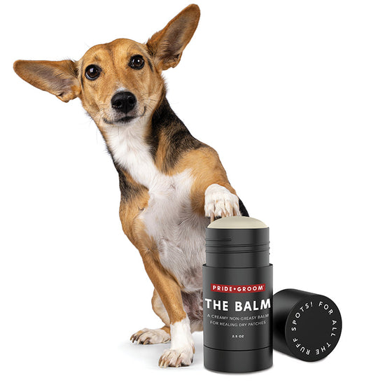 THE BALM Healing Pet Balm — Natural Paw & Nose Moisturizing Balm for Dogs & Cats