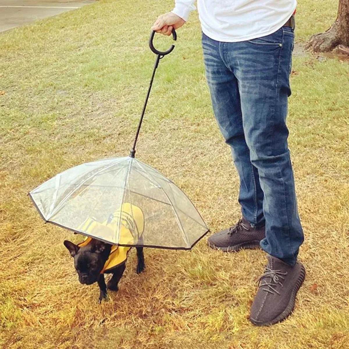 Dog Umbrella - The Max & Rex Collection