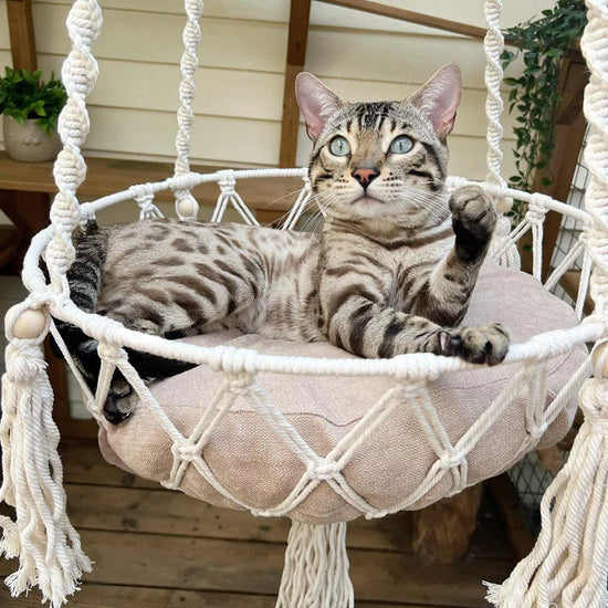 Emellie Bohemian Style Cat Hammock, Cat Swing with Hanging for Sleeping, Indoor/Outdoor Home Décor