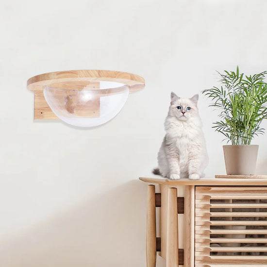 Averly Space Capsule-Style Transparent Cover Wall Mounted Cat Bed
