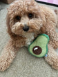 AVOCADO PLUSH DOG TOY