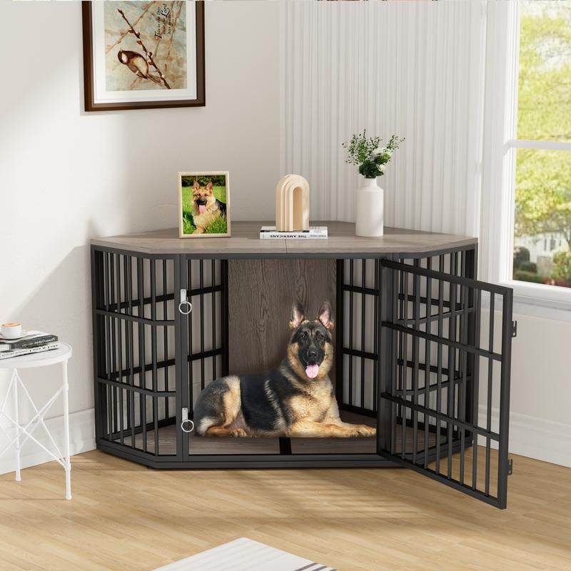 Dog inside a large black metal crate in a room with a window and decor.