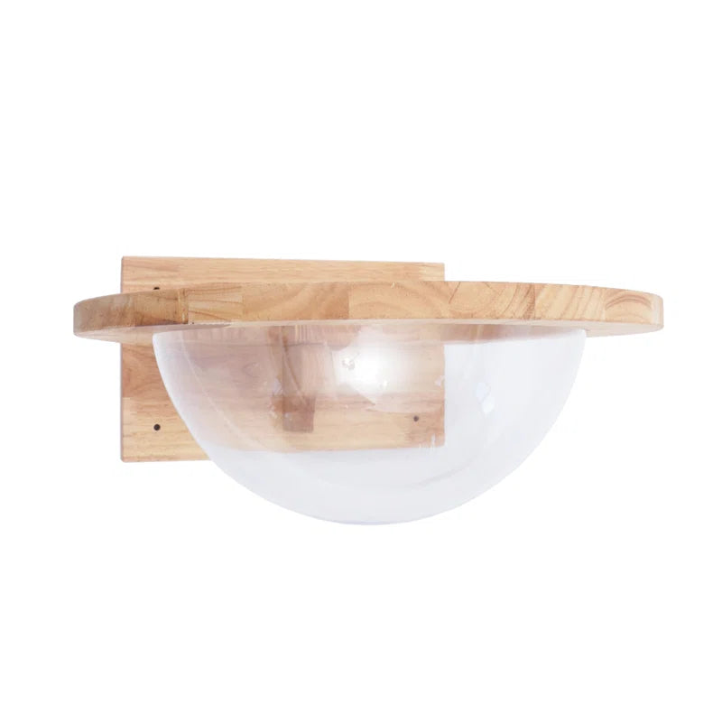 Averly Space Capsule-Style Transparent Cover Wall Mounted Cat Bed