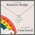 Rainbow Bridge Pet Memorial Necklace – Honor the Loss of a Beloved Cat or Dog - The Max & Rex Collection