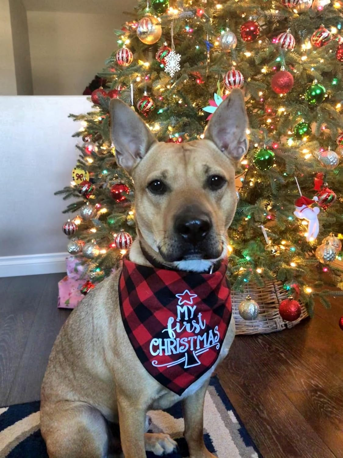 Dog First Christmas Bandana,Red Plaid Xmas Puppy Scarf
