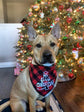 Dog First Christmas Bandana,Red Plaid Xmas Puppy Scarf