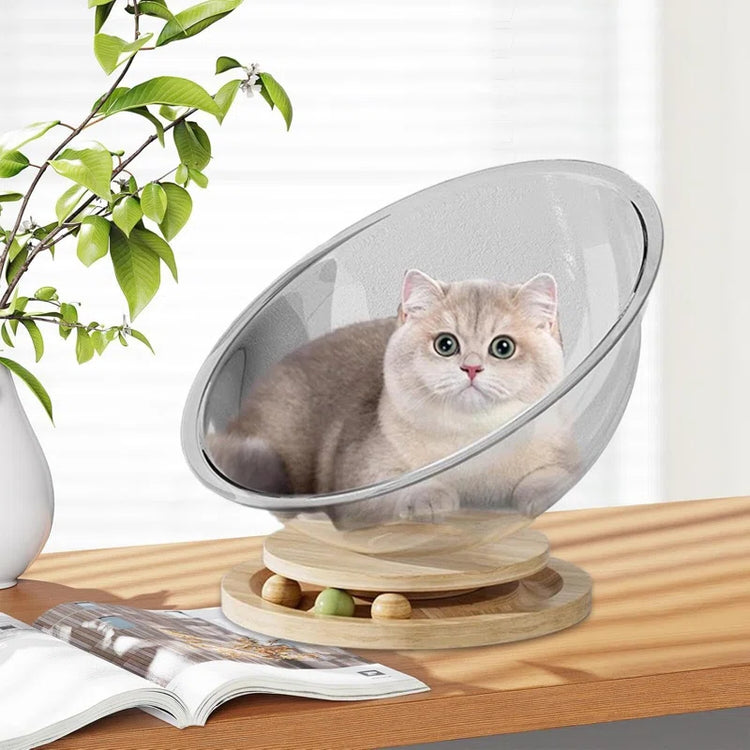 Acrylic Space Capsule Cat Bed – Clear Bubble Lounge