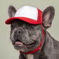 Dogfather Pet Trucker Hat | UV Protection Dog Cap with Adjustable Chin Strap